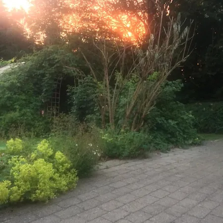 Fred Og Ro Alstrup