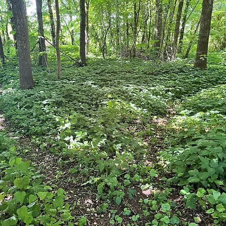 Fred Og Ro Apartment *