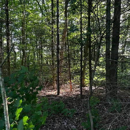 Fred Og Ro 公寓 *
