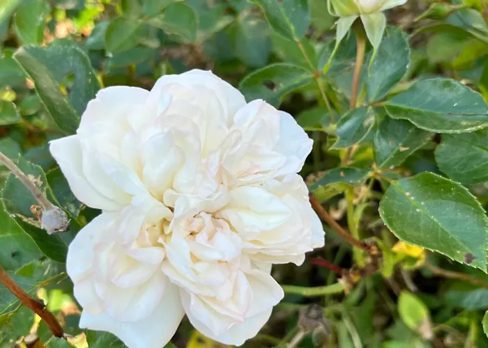 Fred Og Ro Apartment Ulstrup (Randers, Midtjylland)