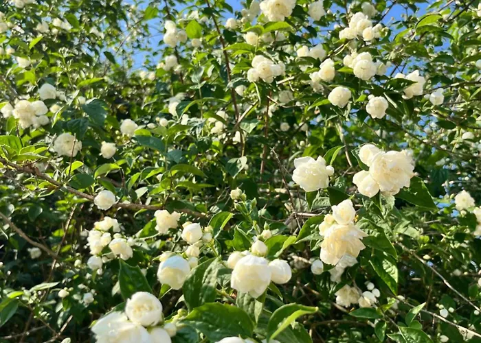 Fred Og Ro Apartment Ulstrup (Randers, Midtjylland)