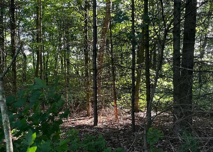 Fred Og Ro Apartment *